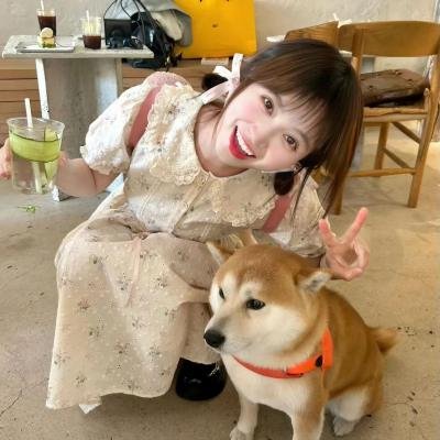 追心披头四